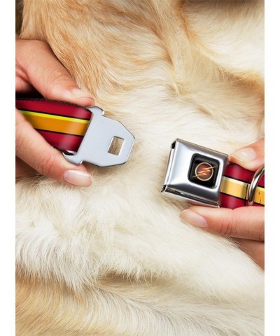 DC Comics The Flash Stripe Seatbelt Buckle Dog Collar $8.96 Pet Collars