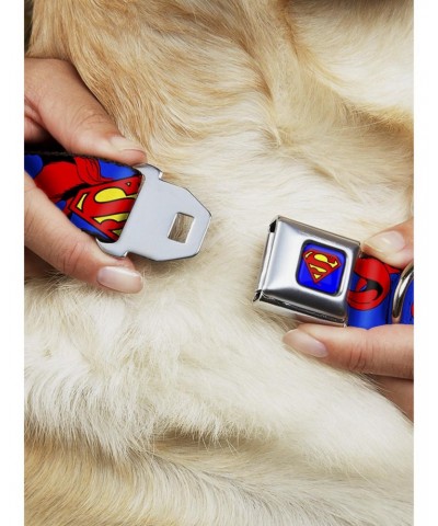 DC Comics Justice League Superman Shield Cape Seatbelt Buckle Dog Collar $8.47 Pet Collars