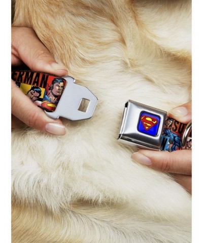 DC Comics Justice League Superman Action Blocks Seatbelt Buckle Dog Collar $9.71 Pet Collars