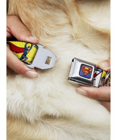 DC Comics Justice League Classic Superman Lifting Car Seatbelt Buckle Dog Collar $12.45 Pet Collars
